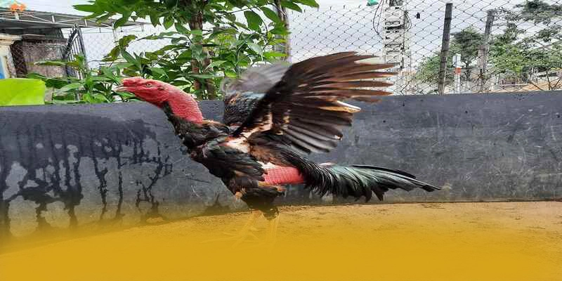 Nền tảng mọi lúc mọi nơi cùng BET168 Nền tảng mọi lúc mọi nơi cùng BET168